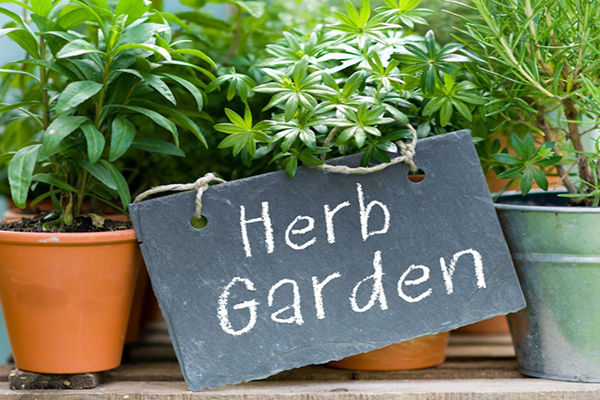 Herb Garden sign