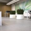Round Fibreglass planter in an office space