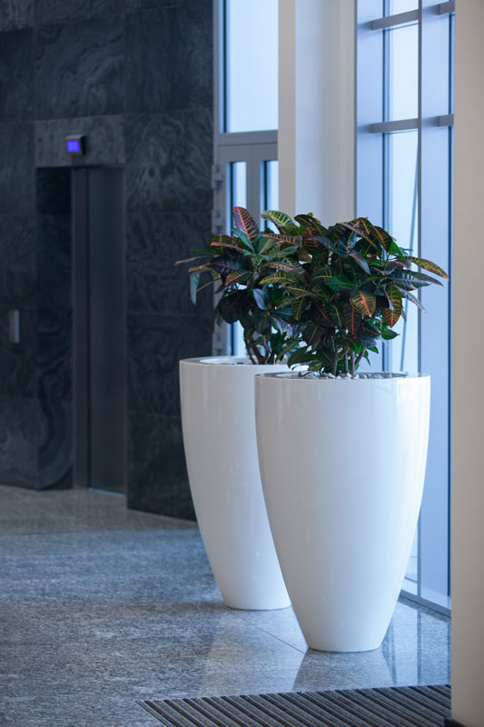 White Fibreglass planter placed inside a business foyer