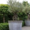 Large Tree Planter made from Galvanised Steel