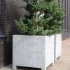 Tree potted in a large Steel Planter