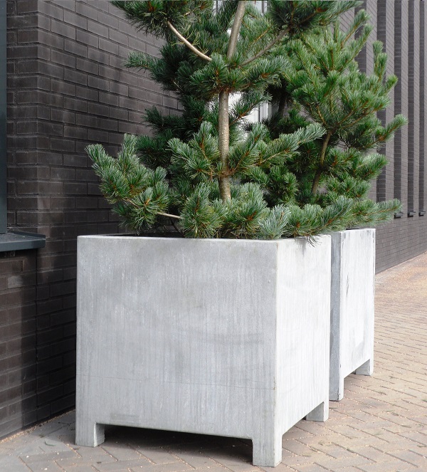 Tree potted in a large Steel Planter