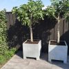 Outdoor Tree Planters built with Galvanised Steel