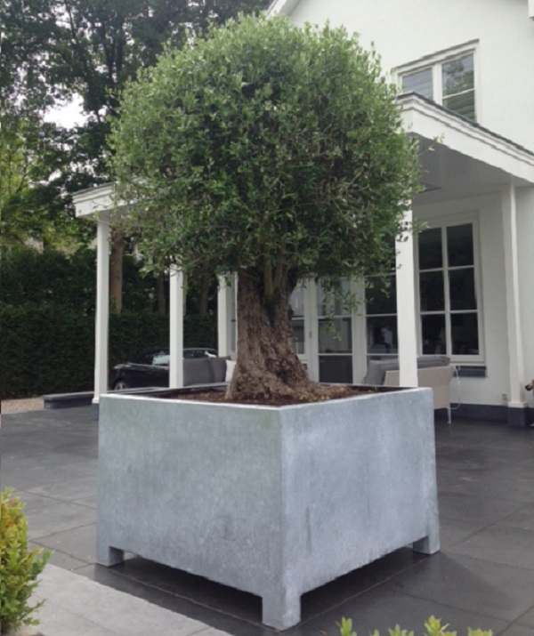 Sturdy steel container for planting a large tree