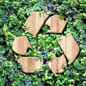Sustainable logo 