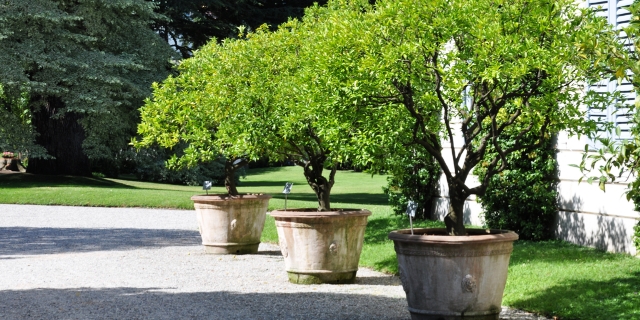 https://taylormadeplanters.co.uk/wp-content/uploads/2018/12/large-tree-planters-on-driveway.jpg