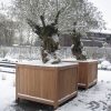 Large timber planter withstanding winter conditions