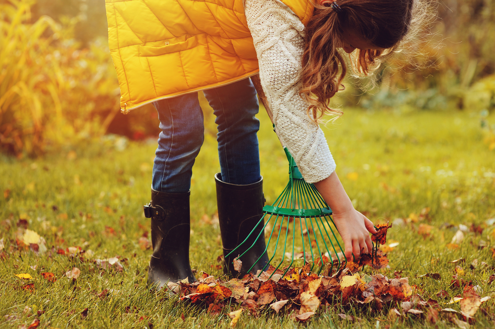 tips to create the perfect autumn garden