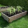 Timber Rectangualr Raised Bed Wooden Planter