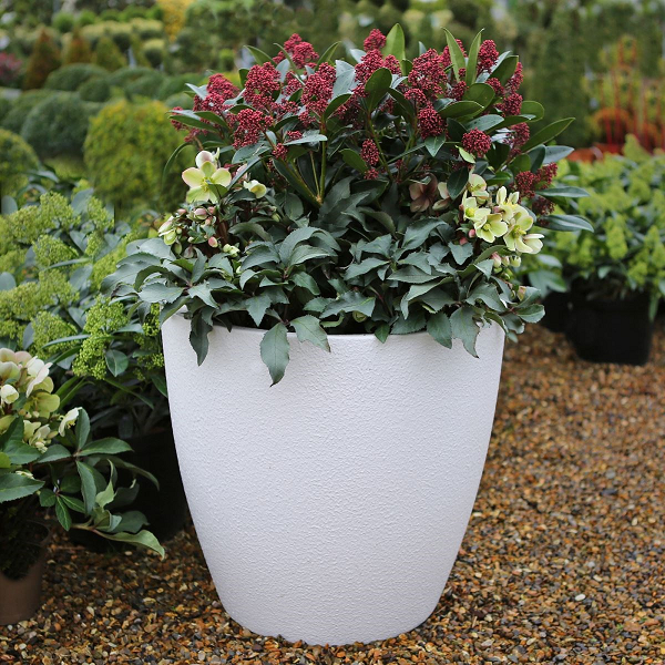 Premium Egg Cup Fibreglass Planter