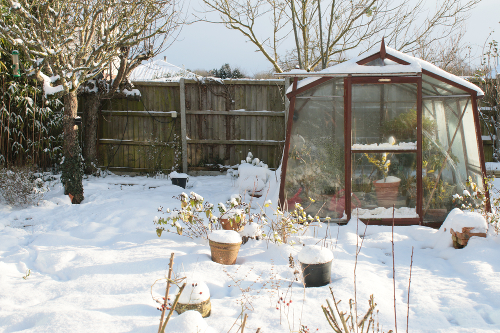 Greenhouse and garden covered in snow